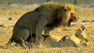 Lowell Fulsom - Why don't we do it in the road - 1969 Killer FUZZ Blues