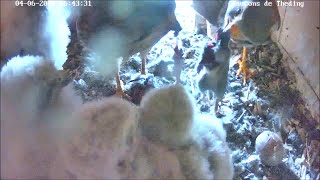 Delivery during feeding