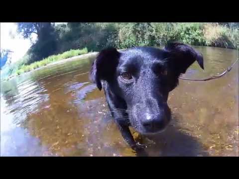 Impressions of Lower Austria // Thaya