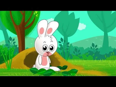 🎶🌟Iepuras coconas 🎉📺 60 de minute de cântece pentru copii Paradisul Vesel TV