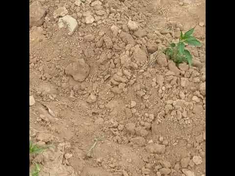 Ya Allah# Ma Sha Allah # Noshi G