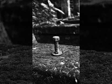 La ciudad perdida que Colombia Olvido #photography #ciudadperdida #misterio #artphotos