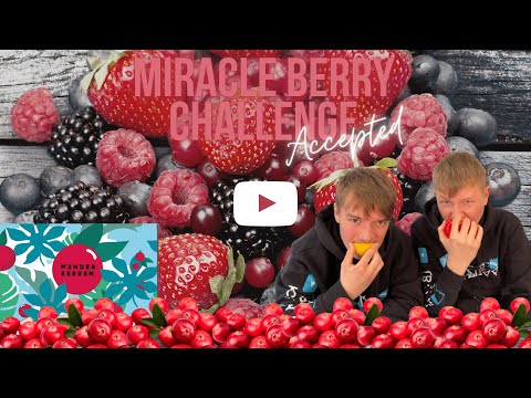 TABLETTEN die deinen GESCHMACK VERÄNDERN😲🧐🤓 | Miracle Berry (Wunderbeere) Challenge