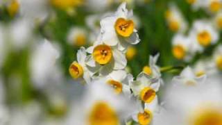 Bài hát If We Hold On Together - Nghệ sĩ trình bày Diana Ross