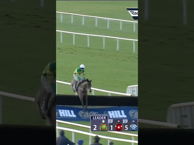 Thumbnail for Post ID: HSGLA1B_TN0