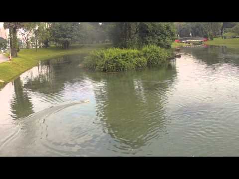 Катер р/у Fei Lun FT007 Racing Boat (Red) - фото 2 - id-p1007853901