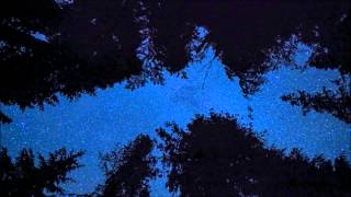 Great Lake Swimmers - Moving Pictures, Silent Films (Lyrics)