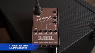 L.R. Baggs Para Acoustic D.I. - What To Know & Where To Buy L.R. Baggs Para Acoustic D.I. - What To Know & Where To Buy