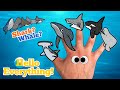 Sea Animals Finger Family Whale Or Shark Kids Songs And Nursery Rhymes