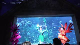 VinWonders Nha Trang Mermaid Show