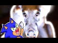 Makes Me Wanna Bark Like A Dog Animation