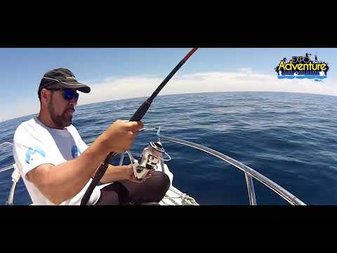 Expo Adventure Video