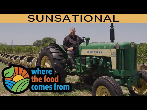 Where the Food Comes From - Sunsational