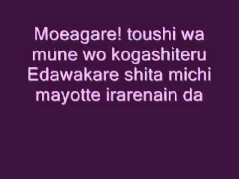 Digimon Adventure 02 - Target - Akai Shougeki - With Lyrics