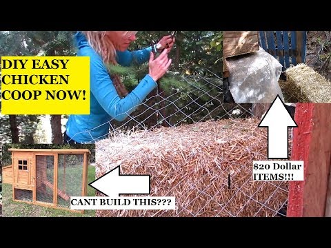 DIY CHICKEN COOP FOR LESS THAN $20!!!!