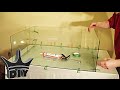 HOW TO: Build A Glass Aquarium 