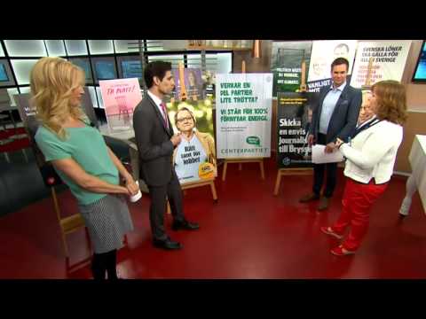 Toppar och floppar i årets EU-valkampanjer - Nyhetsmorgon (TV4)