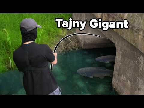 Fishing in the Sewage!