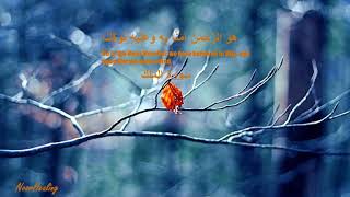 Download lagu Relaxing Recitation of Surah Al Mulk for Healing and finding inner peace by Ismail Annuri YouTube mp3 Download lagu Relaxing Recitation of Surah Al Mulk for Healing and finding inner peace by Ismail Annuri YouTube mp3