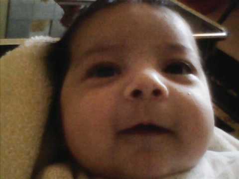 FIORI TIRONA -SEMINA VOGEL