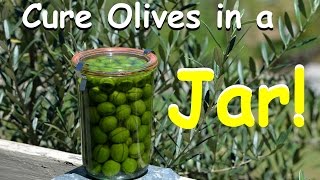 How to Cure Olives in a Jar - Homegrown DIY