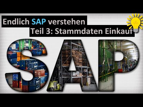 Finally understand SAP - Part 3: Supplier, info record and order book