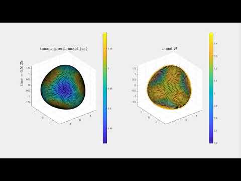 Forced mean curvature flow - modeling tumour growth (slow reaction rate)
