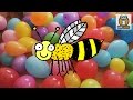 Helium Insect Taste Test Barshens