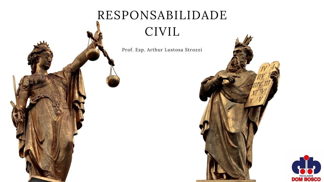 A.20. Responsabilidade Civil dos Transportadores (Parte I)