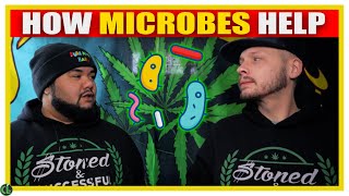 Microbes For Weed Plants EXPLAINED