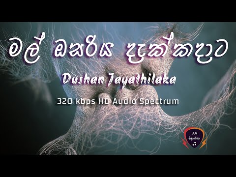 Mal osariya - Dushan jayathilaka (320kbps) Audio Spectrum By AM Equalizer