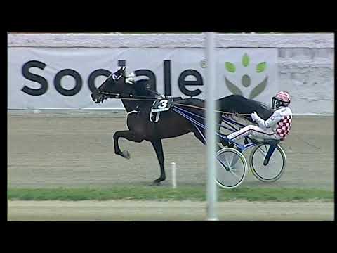 Napoli Trotto 12/02/2021 - 1ª corsa