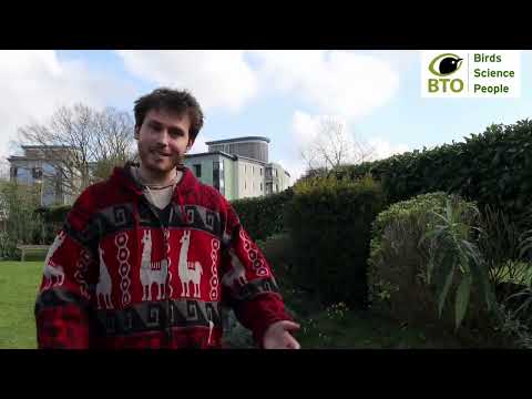 Join Ellie, Geo and Liam in their BTO Garden BirdWatch journey
