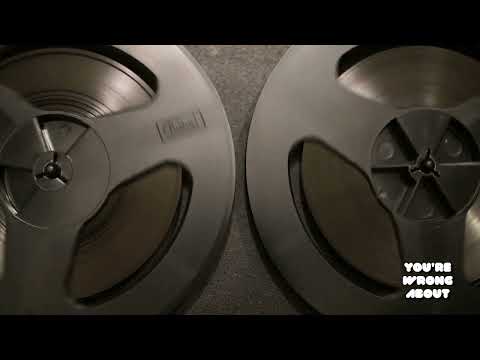 Terri Schiavo - You're Wrong About Podcast