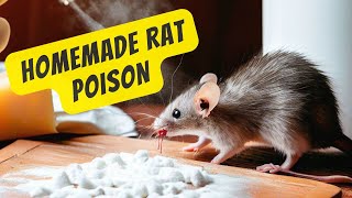Homemade Rat Poison: Get Rid of Mice in One Hour with Baking Soda and Cheese!