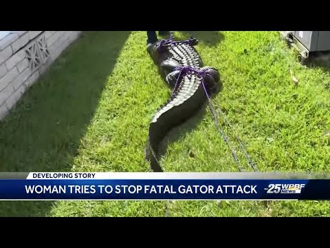 Woman describes harrowing moments trying to save neighbor fatally attacked by an alligator