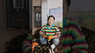How many small chairs
