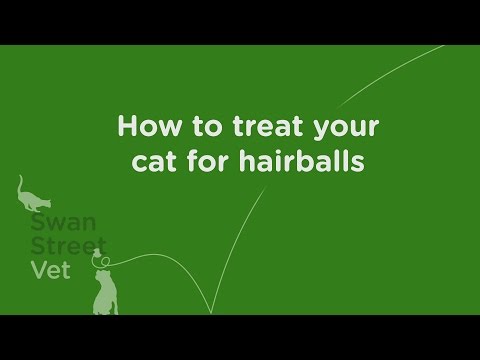 How to treat your cat for hairballs