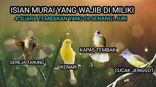 Download lagu MASTERAN KOMPILASI SUPER EDAN GEREJA TARUNG KENARI CUCAK JENGGOT KAPAS TEMBAK PALING DI SUKAI JURI mp3