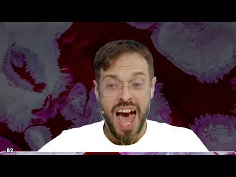 Deutsch B2 - Wahrheit, Wirklichkeit, Realität und Fantasie!