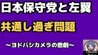 2026年4月20日【日本保守党】ヨドバシカメラ　辺野古転覆事件　左翼との共通点