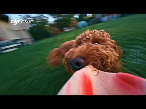 DJI Osmo Nano - 14 Creative POV Ideas for Your Next Vlog