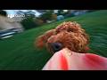 DJI Osmo Nano 14 Creative POV Ideas For Your Next Vlog
