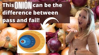 The Research Onion Made EASY! Simple Research Methods Template For Your Methodology Chapter