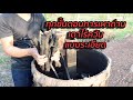 ขั้นตอน