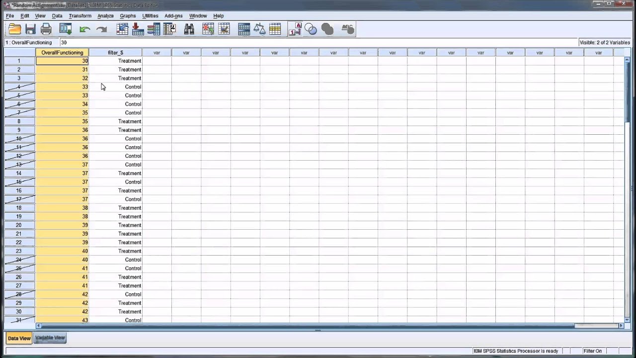 Random Assignment in SPSS