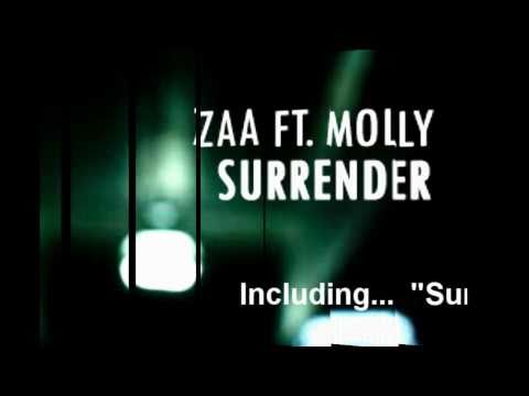 Zaa - Diary Of Music (Album Promo)