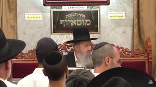 הילולת רבנו יוסף חיים זיע א בעל הבן איש חי פרשת כי תצא תשפב