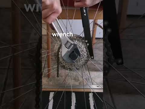 4 THINGS YOU NEED to remove your Shimano freehub cassette #shorts #cycling #bikerepair