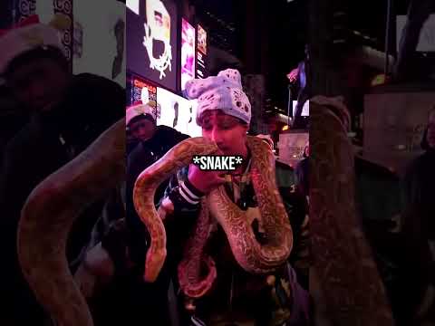 Tota Not Scared Of Anything Except Birds 😭🦜